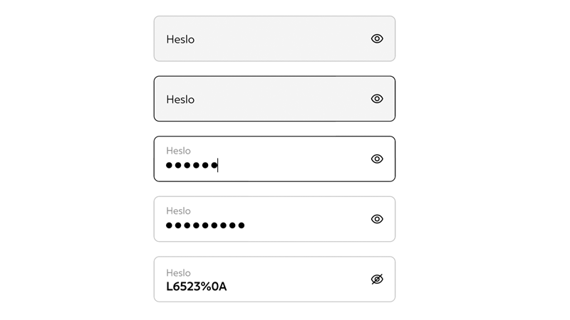 Input – Password